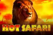 Hot-Safari.webp